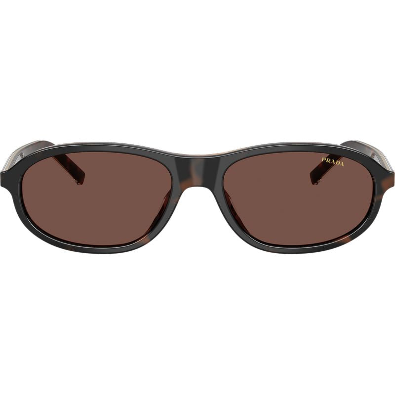 Prada PRD20SU Cherry Tortoise Tobacco Horn Black Chocolate Front