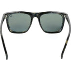 Sun Drifter, Brown and Green Demi/Green Lenses
