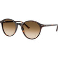 Bernard RB2230, Havana/Brown Clear Gradient Glass Lenses 53 Eye Size