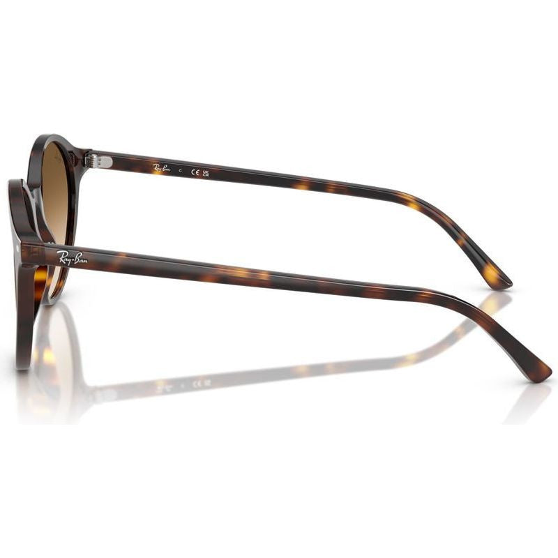 Bernard RB2230, Havana/Brown Clear Gradient Glass Lenses 53 Eye Size