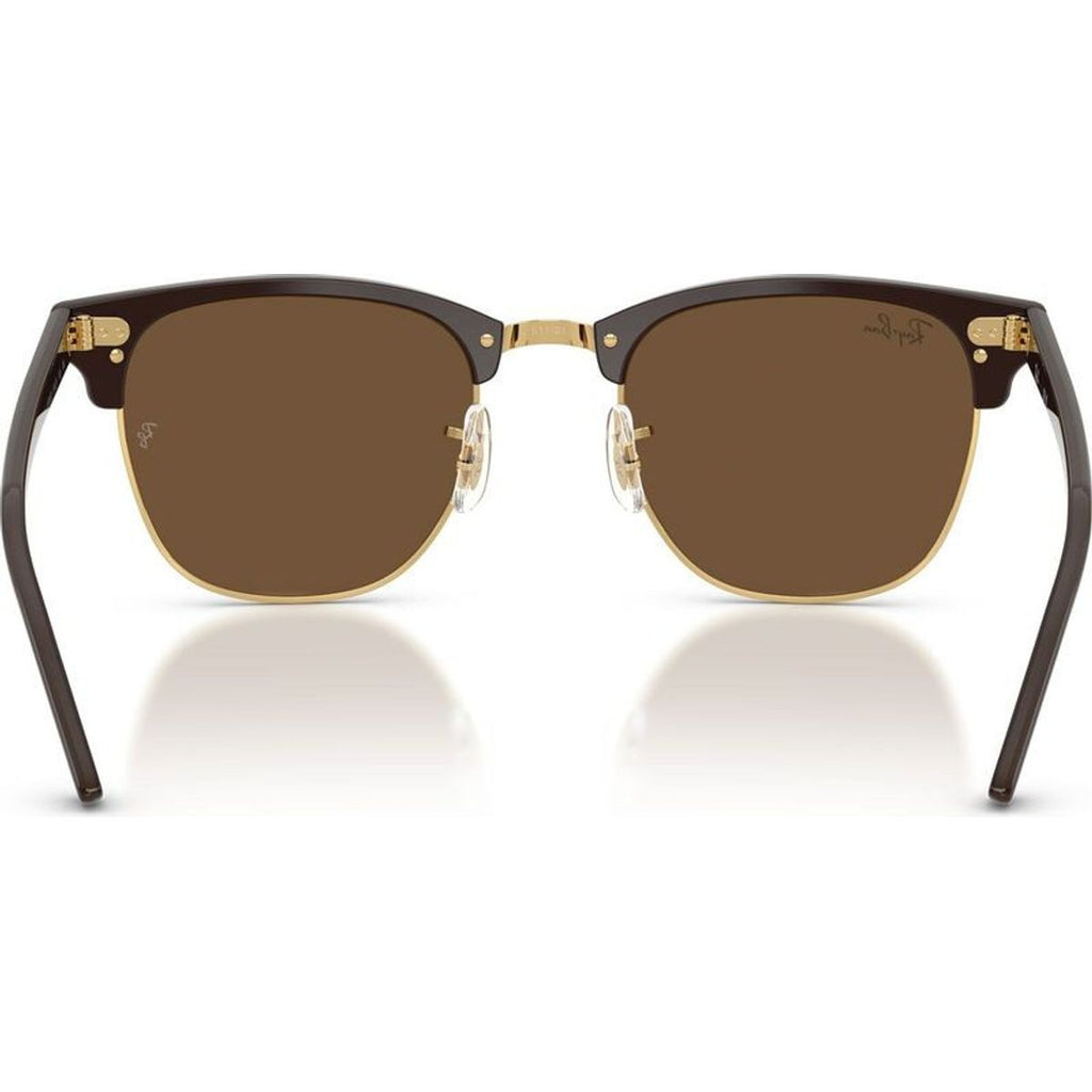 Clubmaster Classic RB3016, Brown on Gold/Dark Brown Glass Lenses 51 Eye Size