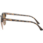 Clubmaster Classic RB3016, Shiny Havana/Brown Glass Lenses 51 Eye Size