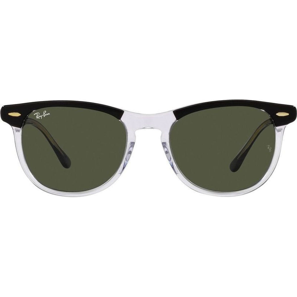 Eagleeye RB2398, Black on Transparent/Green Glass Lenses