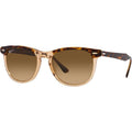 Eagleeye RB2398, Havana on Transparent Brown/Brown Gradient Polarised Glass Lenses