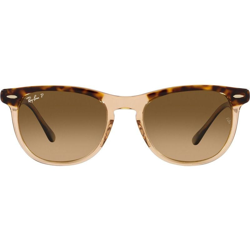 Eagleeye RB2398, Havana on Transparent Brown/Brown Gradient Polarised Glass Lenses