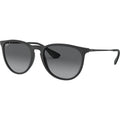 Erika Classic RB4171, Black Rubber/Grey Gradient Polarised Lenses