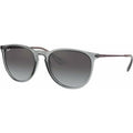 Erika Classic RB4171, Transparent Grey/Grey Gradient Lenses