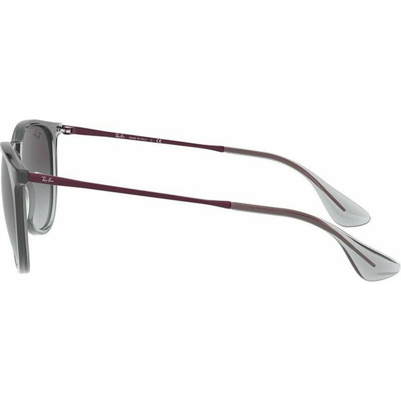 Erika Classic RB4171, Transparent Grey/Grey Gradient Lenses