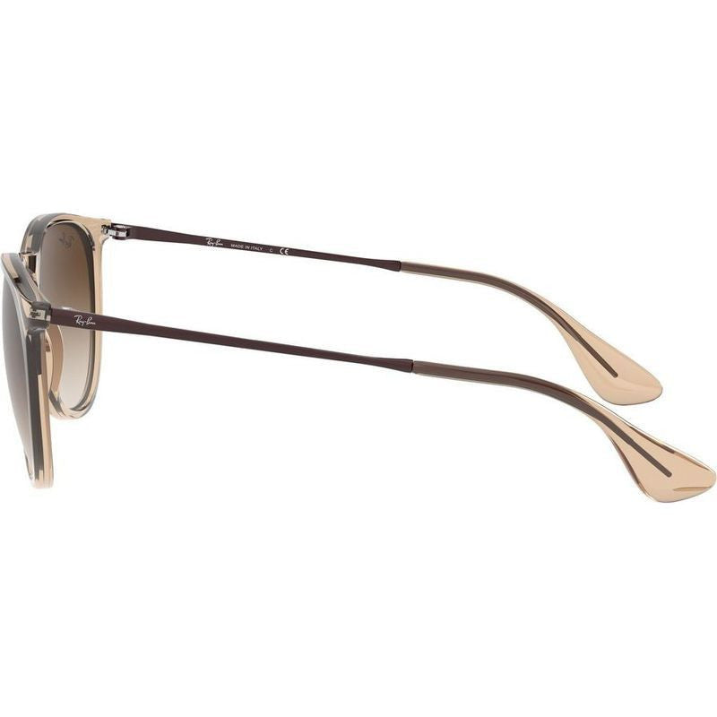 Erika Classic RB4171, Transparent Light Brown/Brown Gradient Dark Brown Lenses