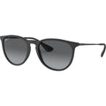 Erika Classic RB4171F, Matte Black/Grey Gradient Polarised Lenses