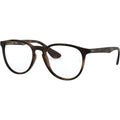 Erika RX7046, Havana/Clear Lenses
