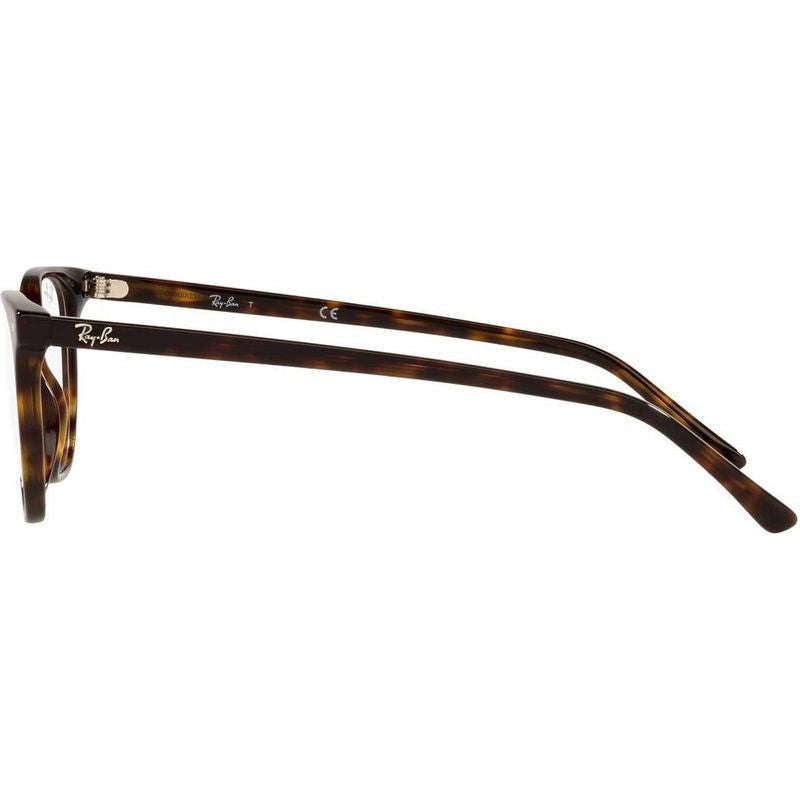 Elliot RX5397, Havana/Clear Lenses 50 Eye Size