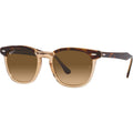 Hawkeye RB2298, Havana and Transparent Brown/Brown Gradient Polarised Glass Lenses 52 Eye Size