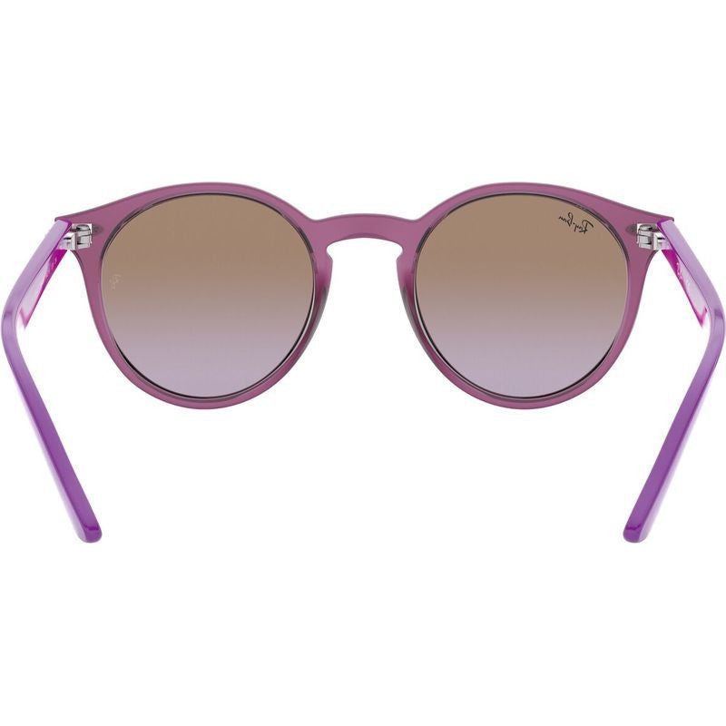 9064S, Transparent Fuxia/Violet Brown Gradient Lenses
