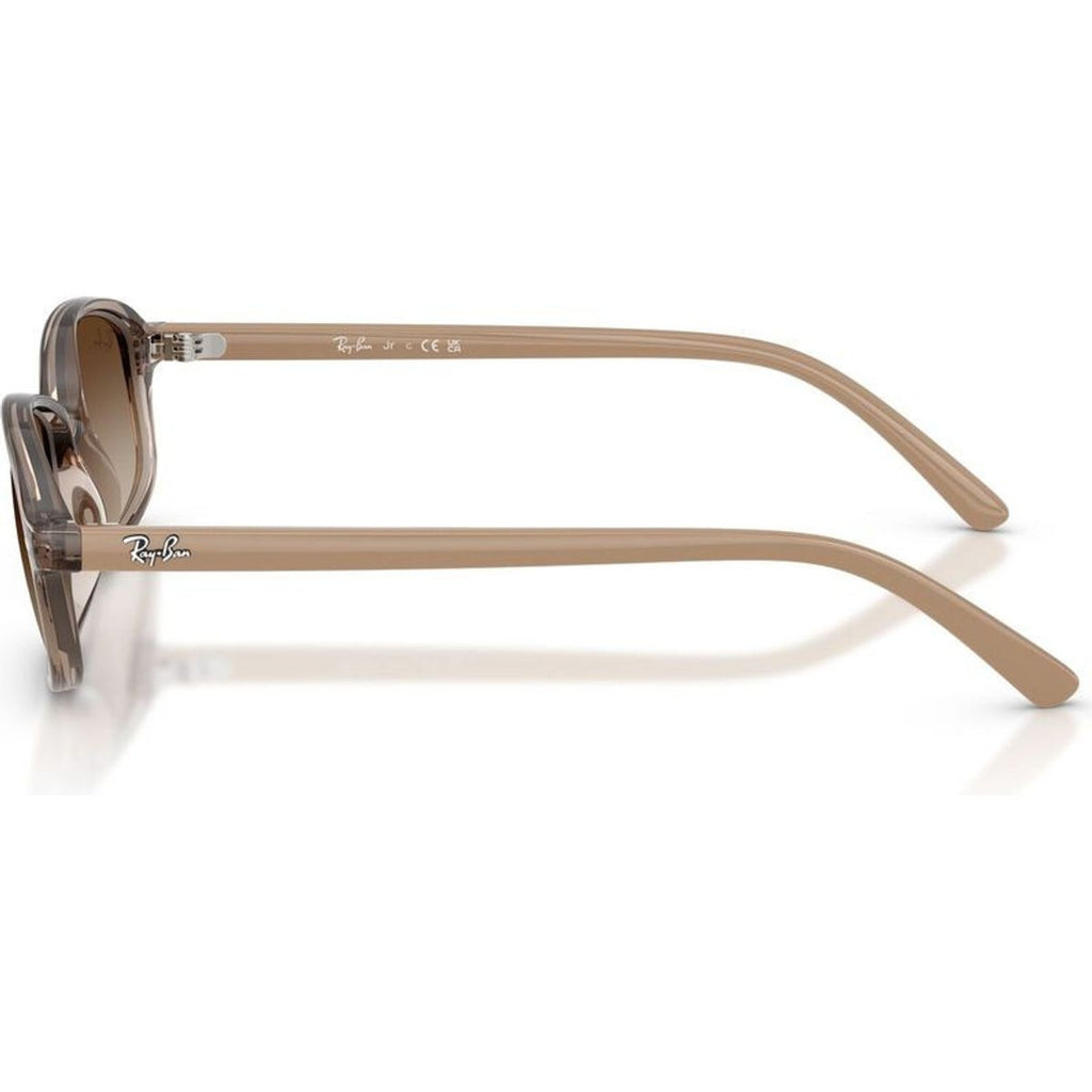 RJ9132S, Transparent Beige/Brown Gradient Lenses