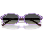 RJ9132S, Transparent Violet/Grey Gradient Lenses