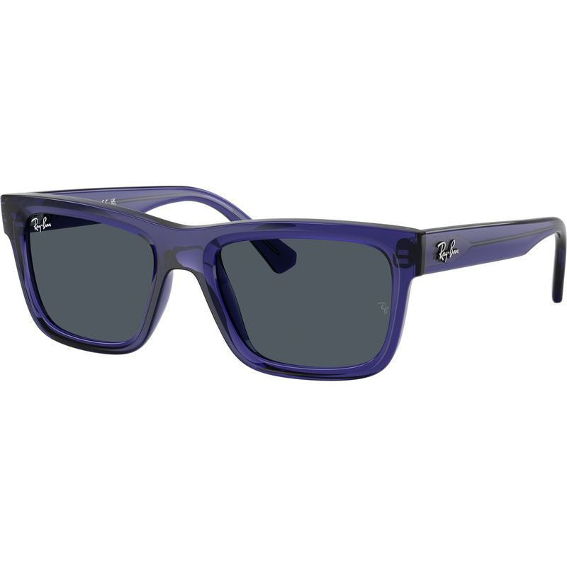 RJ9196S, Transparent Violet/Dark Grey Lenses