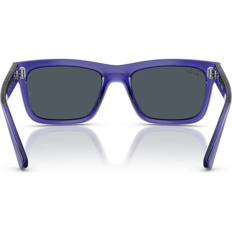 RJ9196S, Transparent Violet/Dark Grey Lenses