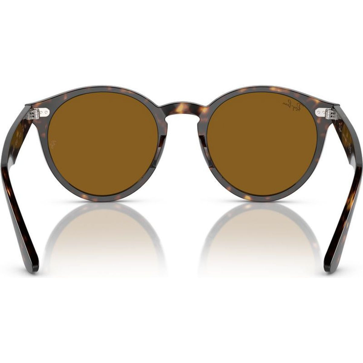 Larry RB7680S, Havana/Brown Glass Lenses 49 Eye Size