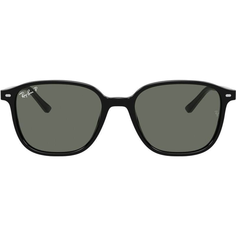Leonard RB2193, Black/Green Polarised Glass Lenses 53 Eye Size