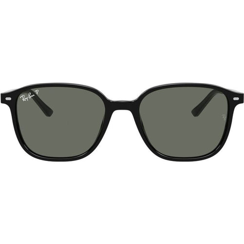 Leonard RB2193, Black/Green Polarised Glass Lenses 53 Eye Size