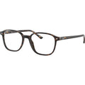 Leonard RX5393, Havana/Clear Lenses 51 Eye Size
