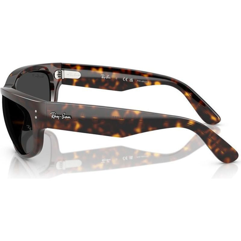 Mega Balorama RB2289, Havana/Black Glass Polarised Lenses 60 Eye Size
