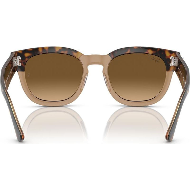 Mega Hawkeye RB0298S, Havana on Transparent Brown/Brown Gradient Polarised Glass Lenses
