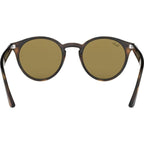 RB2180, Light Havana/Brown Lenses 49 Eye Size