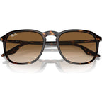 RB2203, Havana/Light Brown Gradient Glass Lenses 55 Eye Size