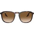 RB2203, Havana/Light Brown Gradient Glass Lenses 52 Eye Size