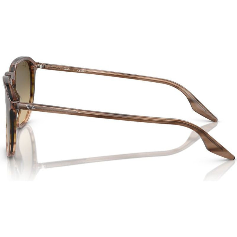 RB2203, Striped Brown and Green/Vintage Brown Glass Lenses 52 Eye Size