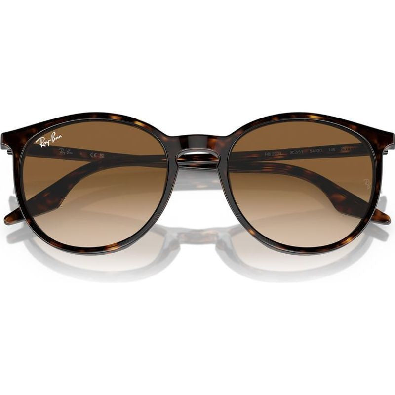 RB2204, Havana/Light Brown Gradient Glass Lenses 51 Eye Size