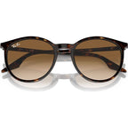 RB2204, Havana/Light Brown Gradient Glass Lenses 51 Eye Size