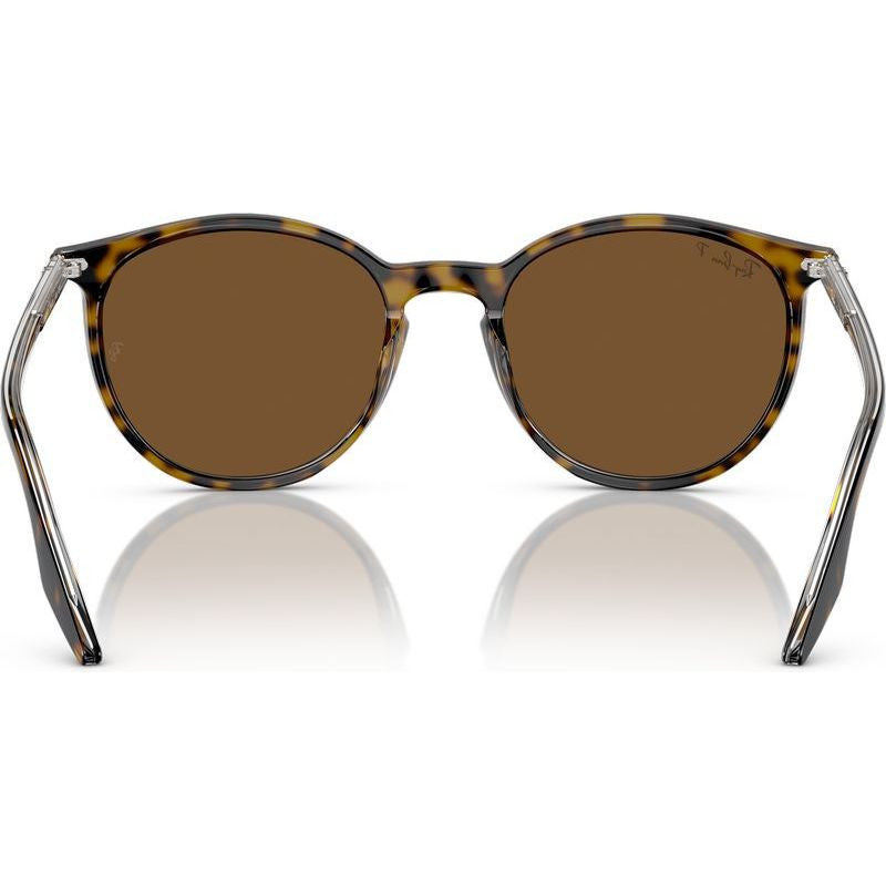 RB2204, Havana on Transparent/Brown Polarised Glass Lenses 51 Eye Size