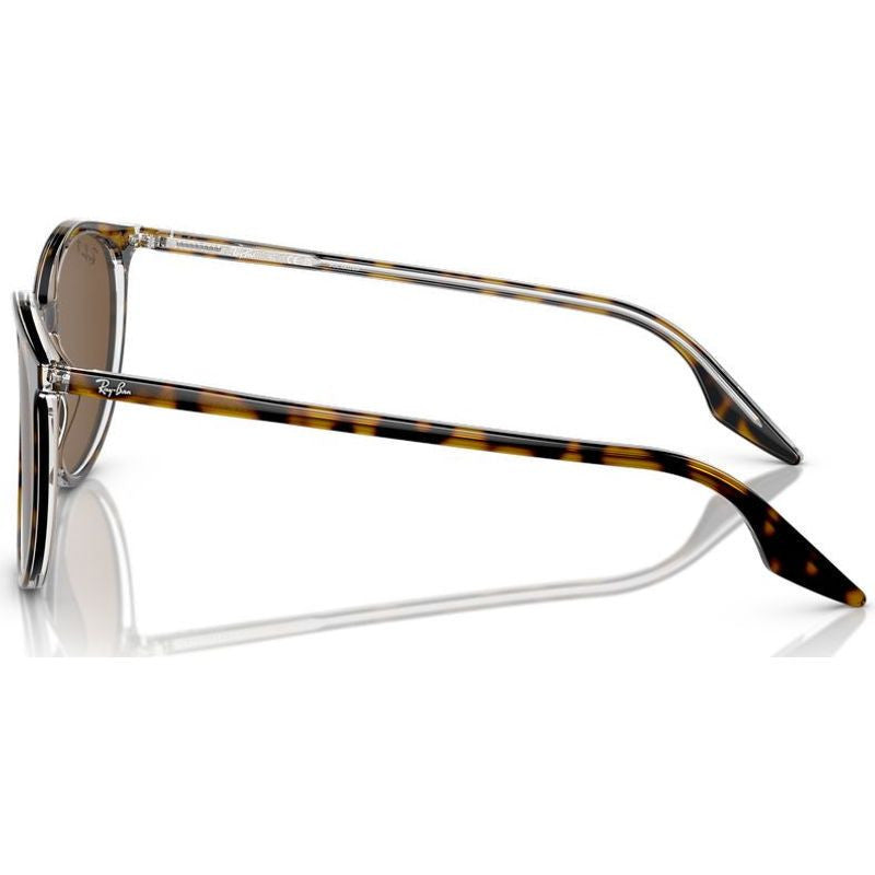RB2204, Havana on Transparent/Brown Polarised Glass Lenses 51 Eye Size