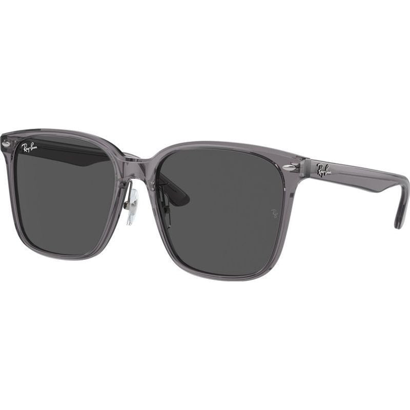 RB2206D, Transparent Grey/Dark Grey Lenses