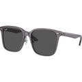 RB2206D, Transparent Grey/Dark Grey Lenses