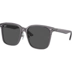 RB2206D, Transparent Grey/Dark Grey Lenses