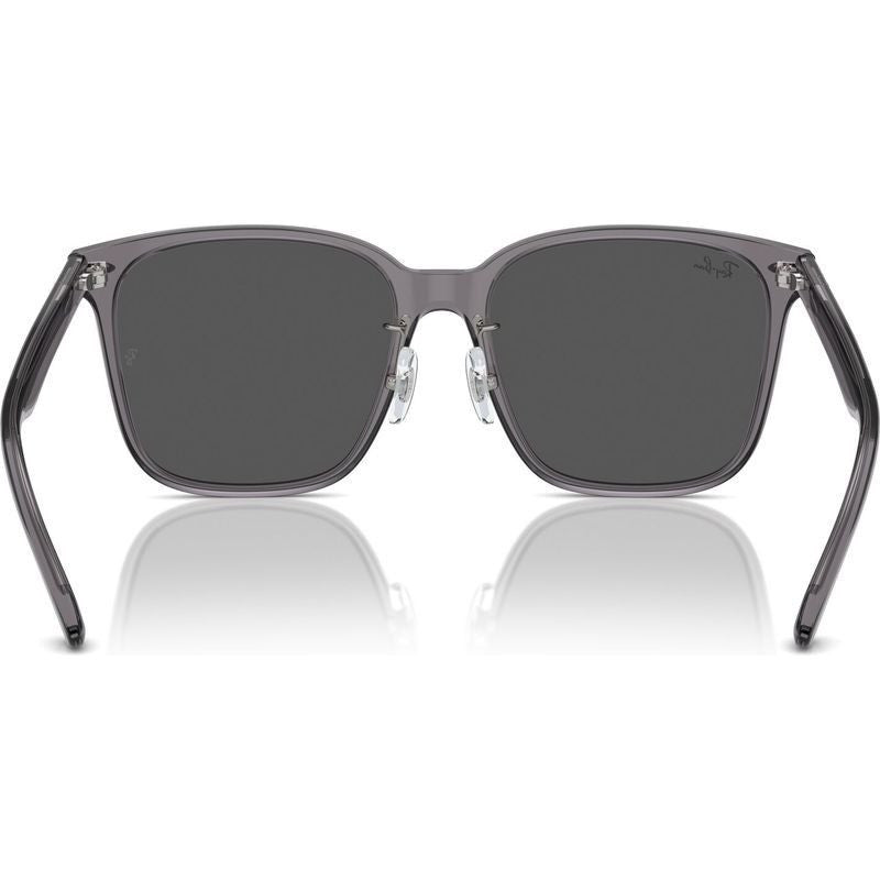 RB2206D, Transparent Grey/Dark Grey Lenses