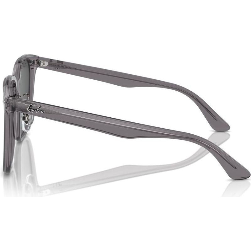 RB2206D, Transparent Grey/Dark Grey Lenses