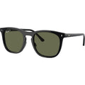 RB2210, Black/Green Polarised Glass Lenses