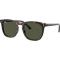 RB2210, Havana/Green Glass Lenses