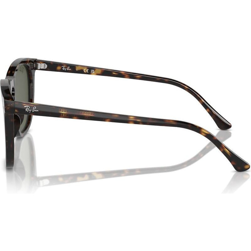 RB2210, Havana/Green Glass Lenses