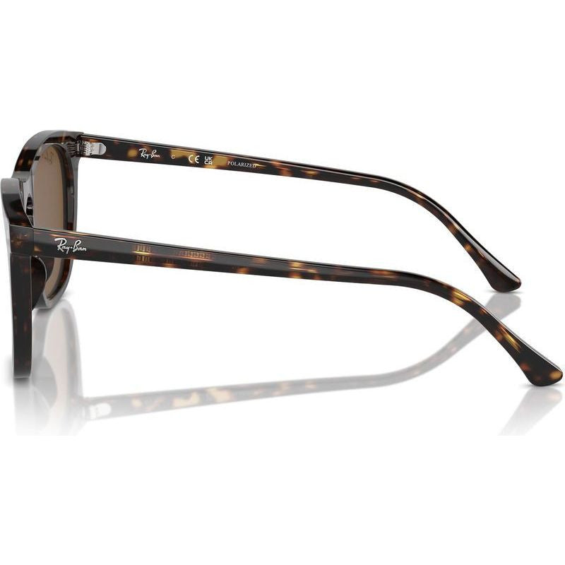 RB2210, Havana/Brown Polarised Glass Lenses