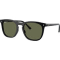RB2210F, Black/Green Polarised Glass Lenses