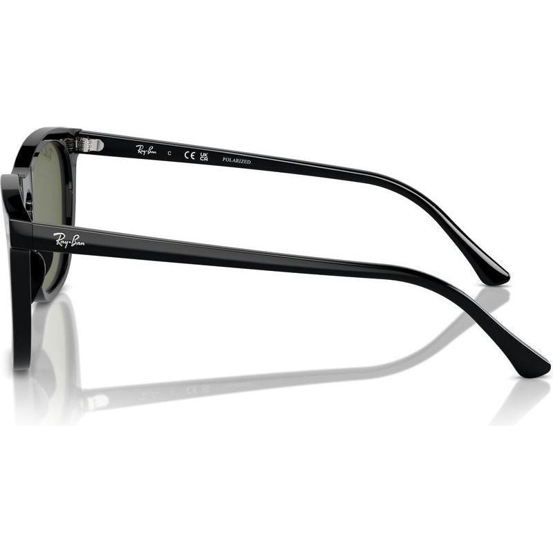 RB2210F, Black/Green Polarised Glass Lenses