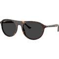 RB2215, Havana/Black Glass Polarised Lenses 56 Eye Size