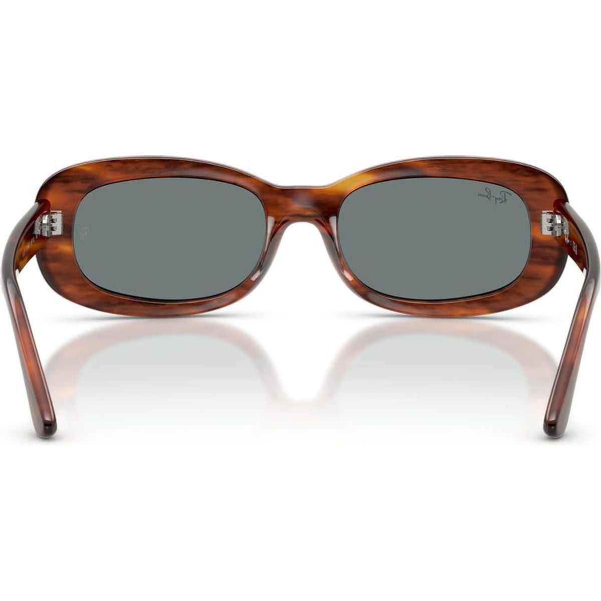 RB2221, Striped Havana/Blue Glass Lenses 53 Eye Size