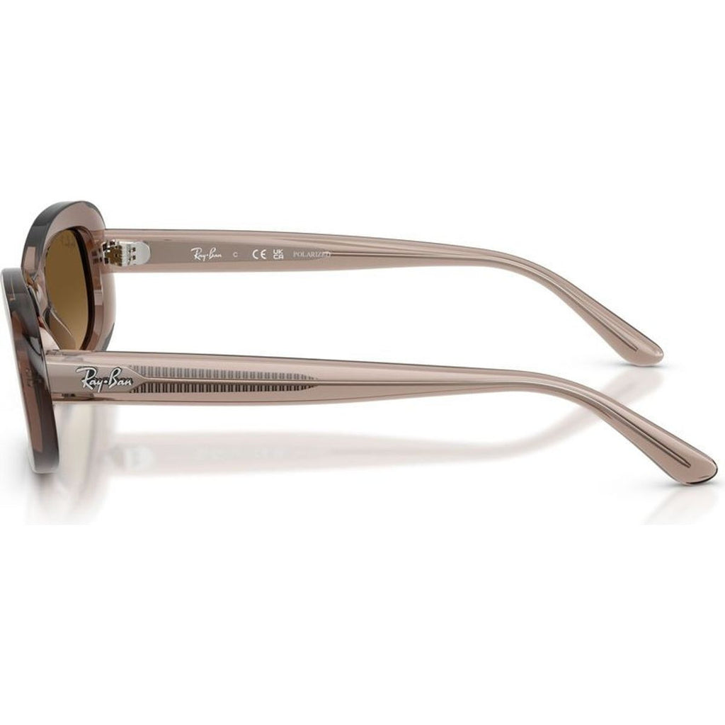 RB2221, Transparent Beige/Brown Gradient Polarised Glass Lenses 53 Eye Size